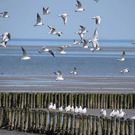 Haus Deichblick 2 후크질